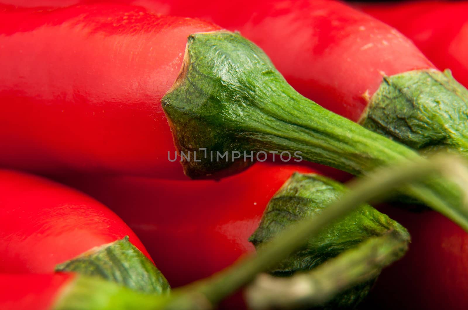 An image of red chilli pepper isolated