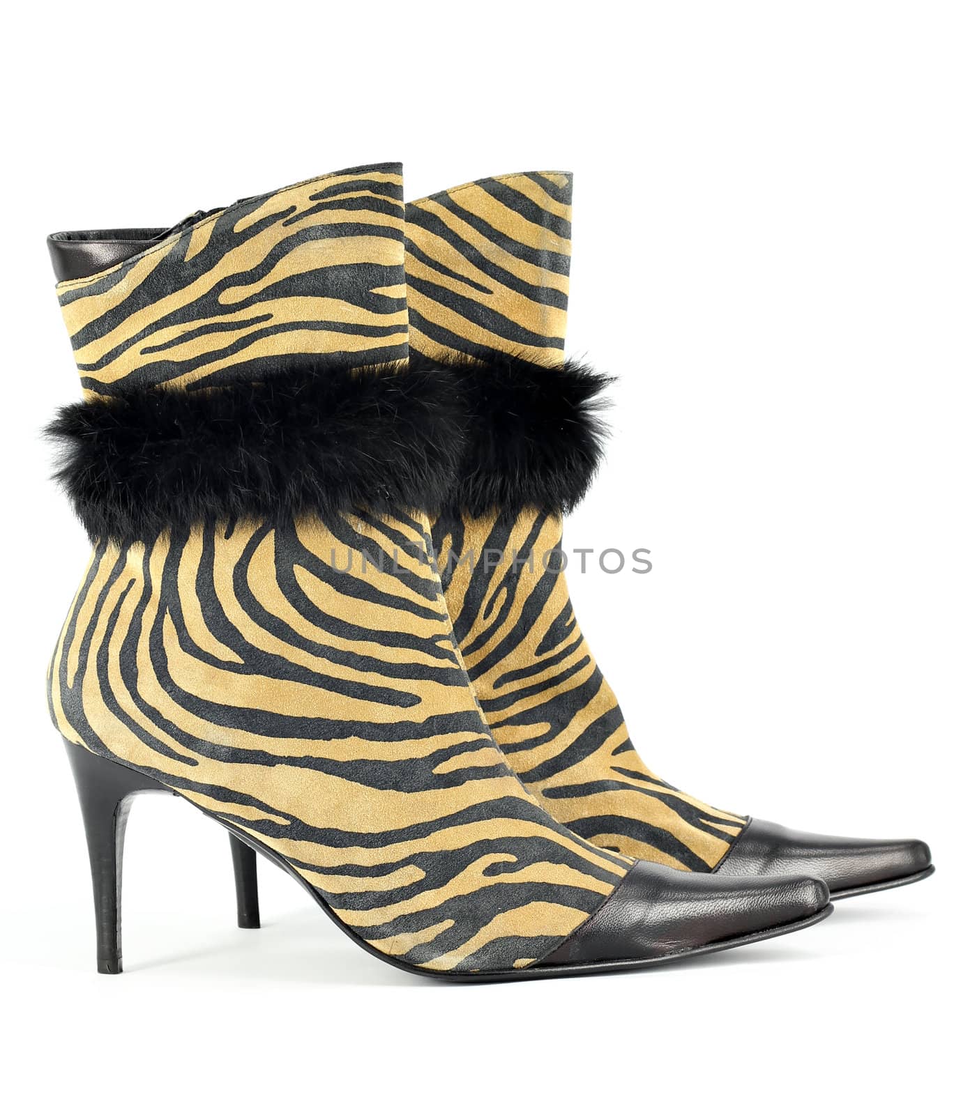 women boot with tiger stripes on white  by goce