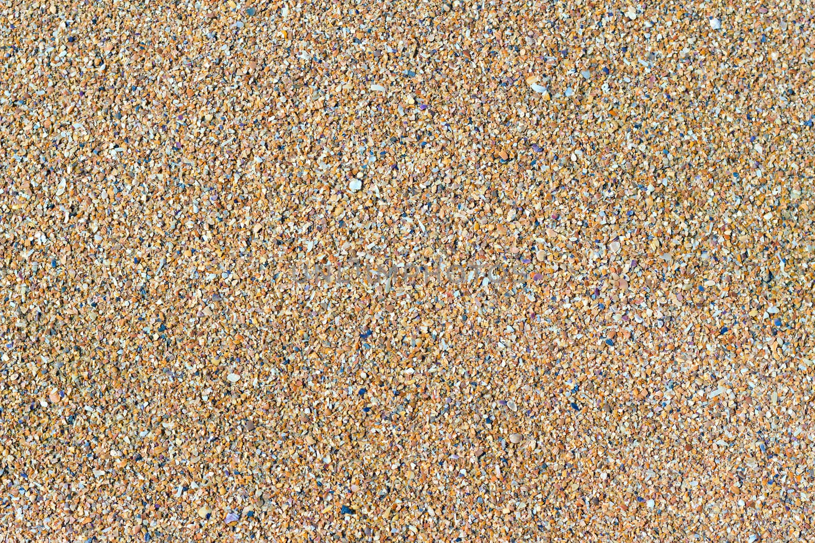 background of fine sandy shell close-up