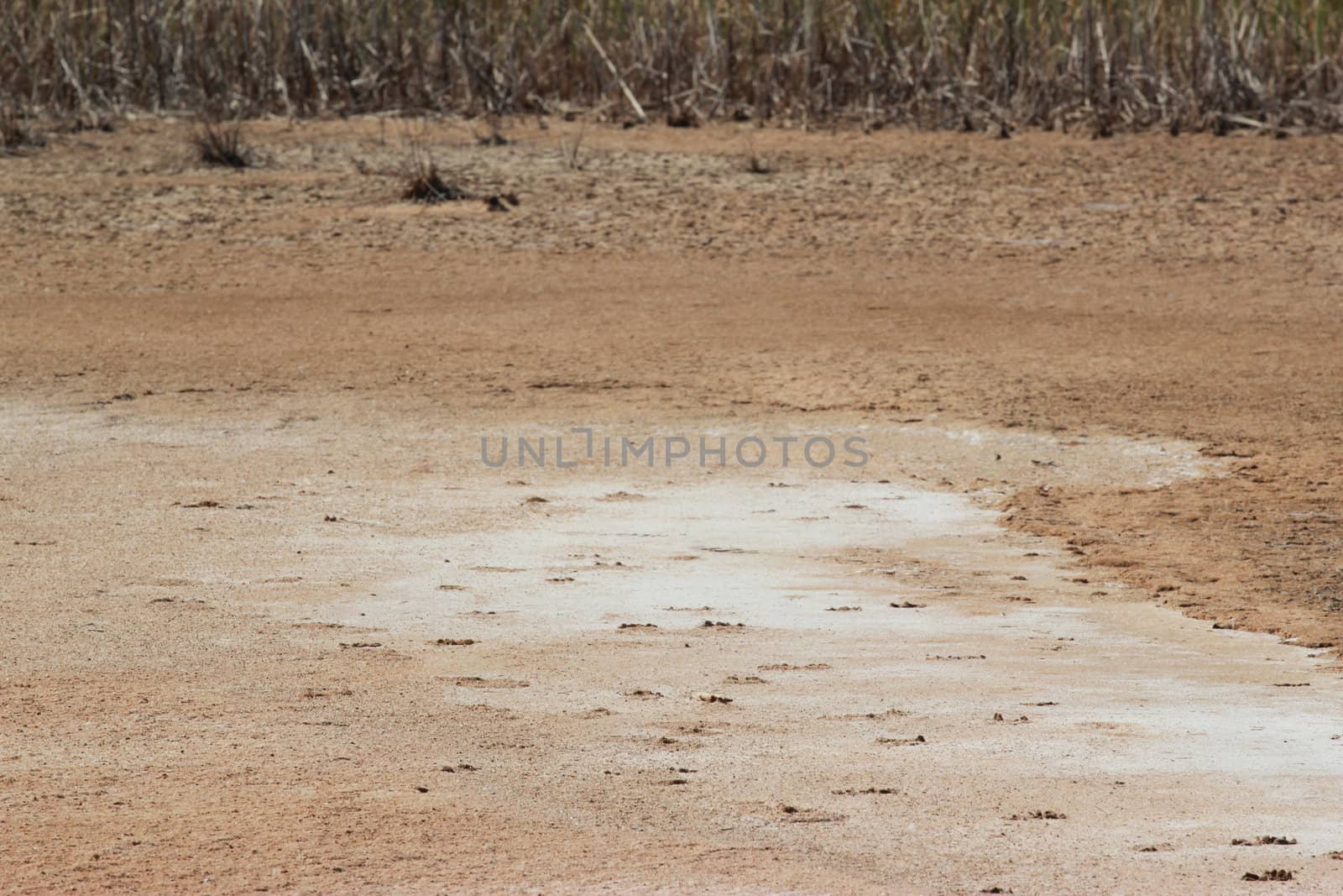 desert landscape at thailand