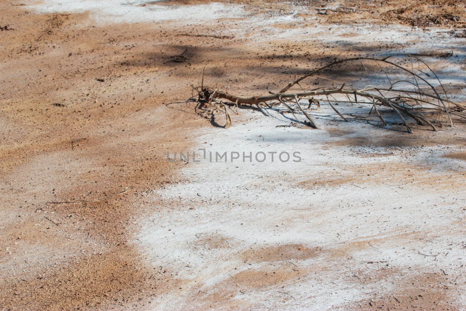 desert landscape at thailand by wasan_gredpree