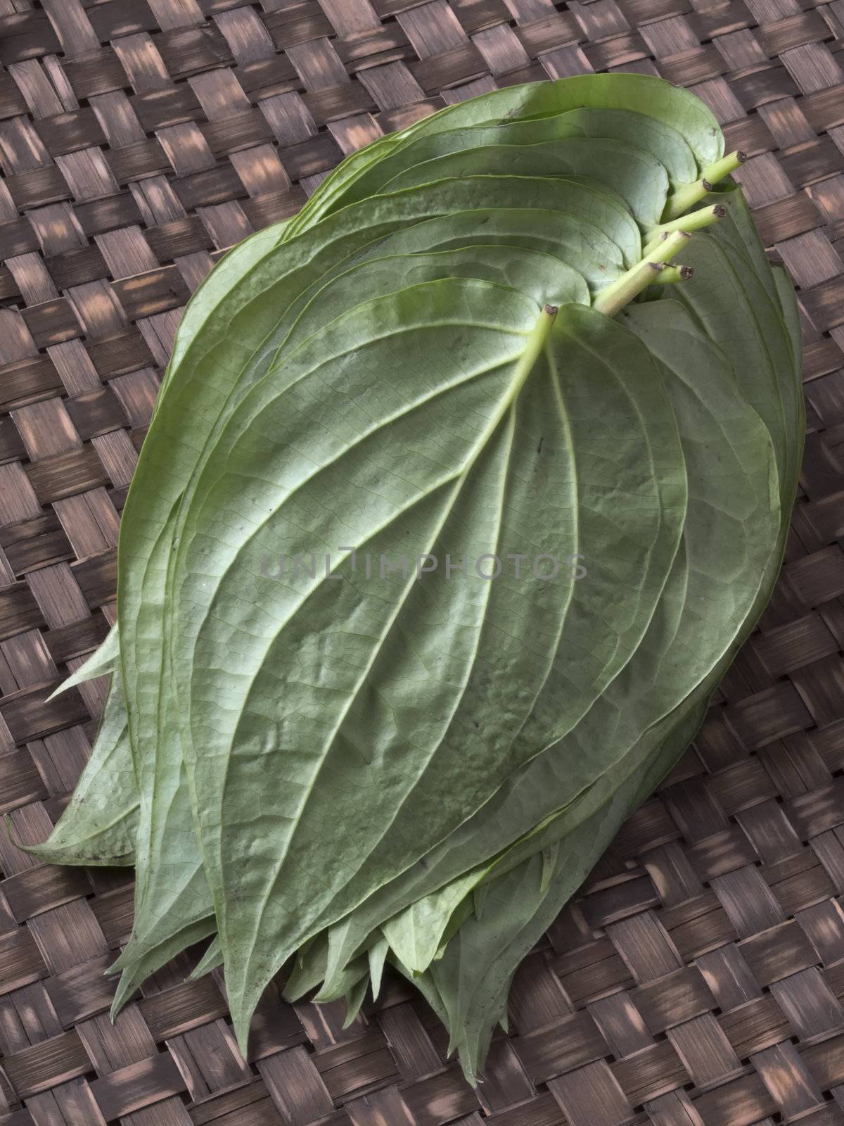 close up of a heap of betel leaves