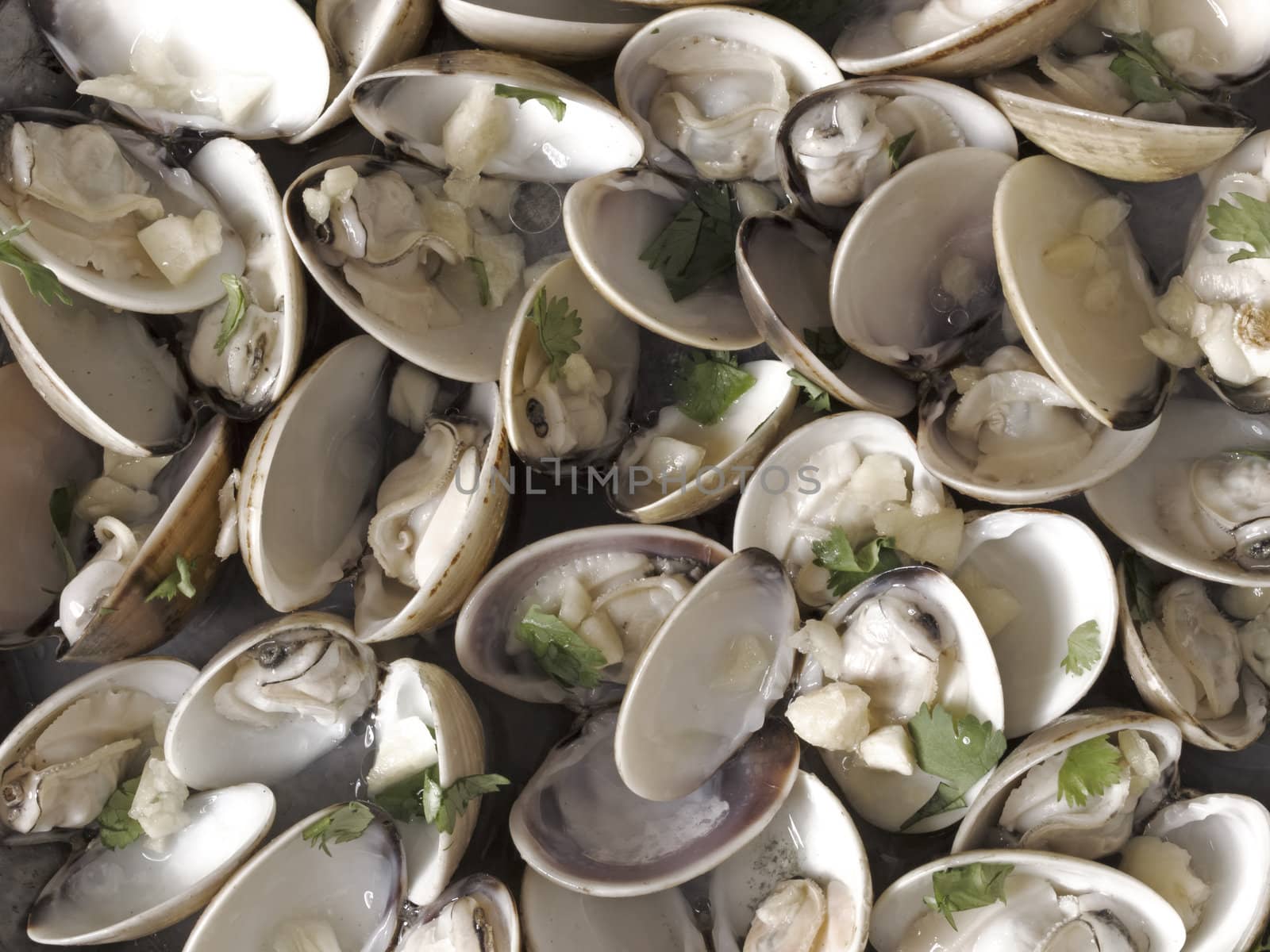 close up of white clams in white wine sauce food background