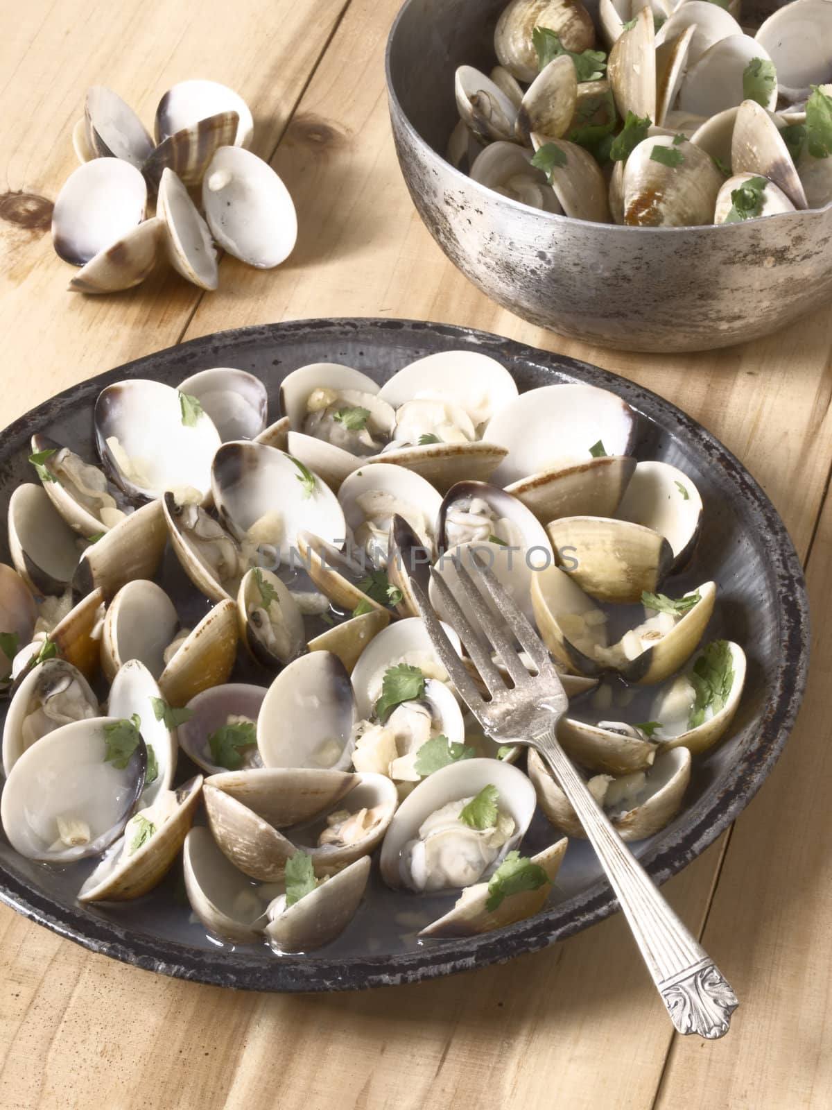 close uo of a plate of white clams in white wine sauce