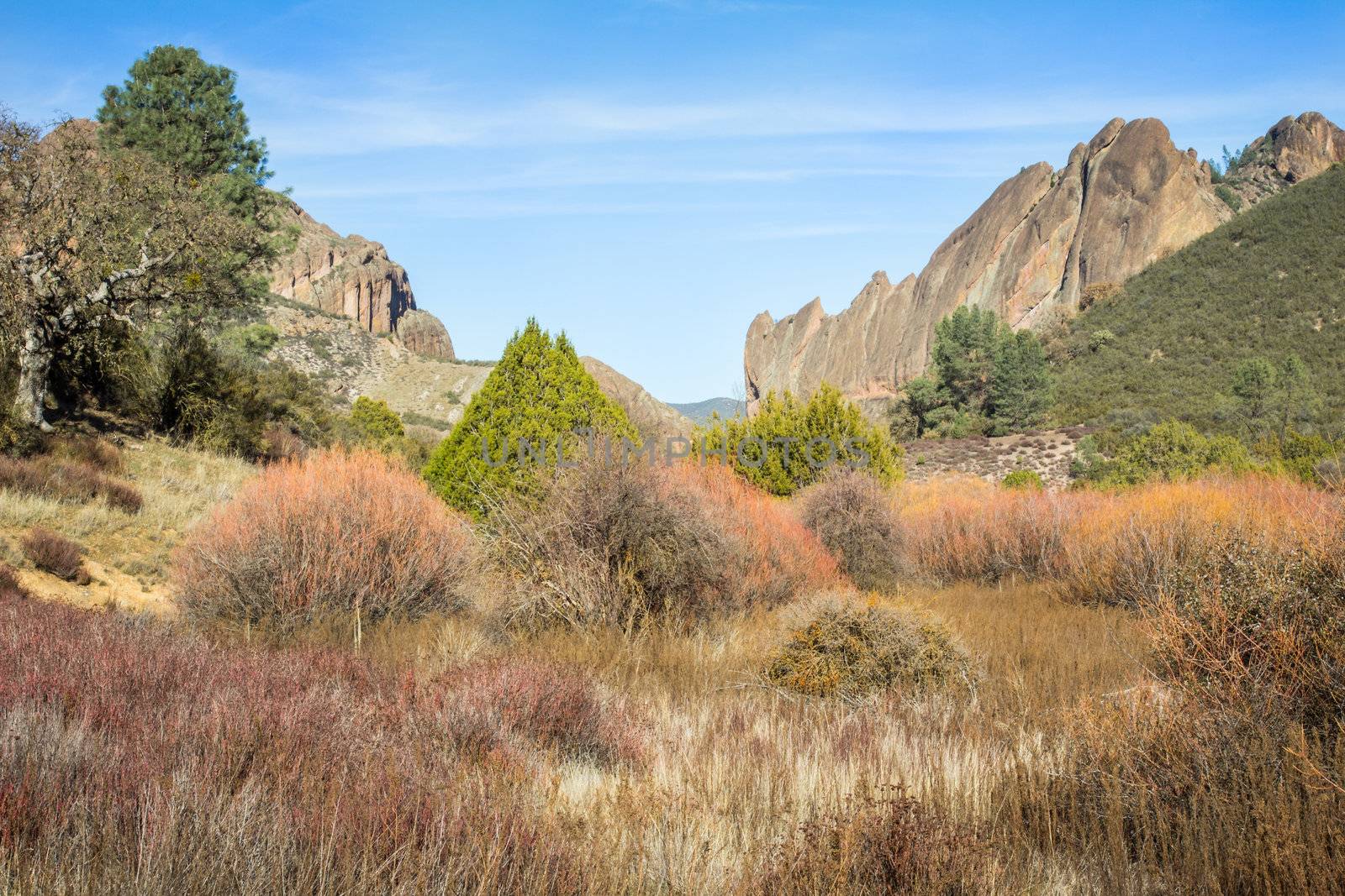 Pinnacles National Monument in California, USA.