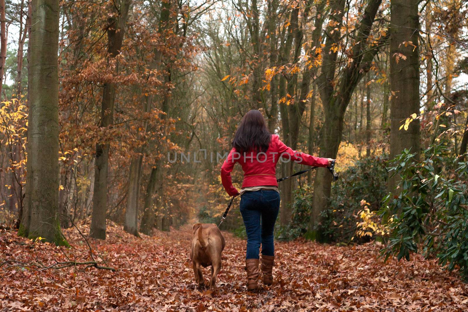 walking with my dog in the forest by DNFStyle