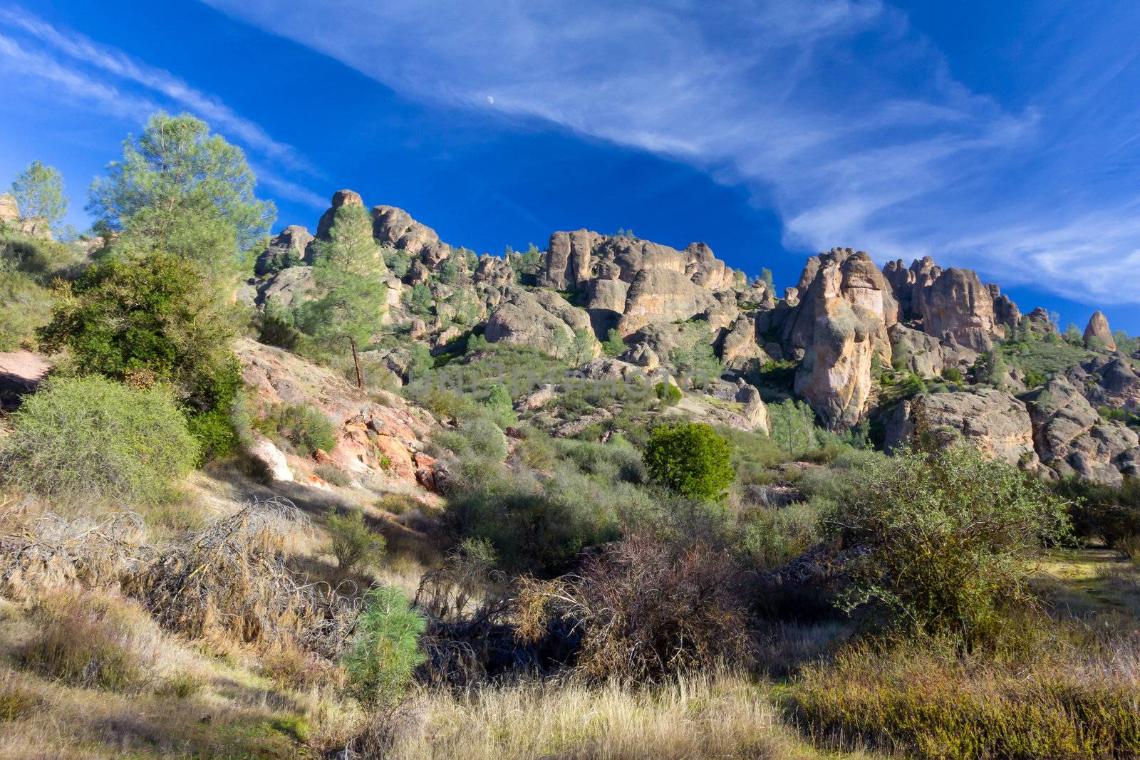 Pinnacles National Monument in California, USA.