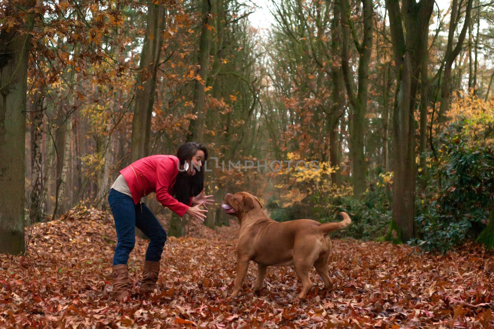 Young woman is having fun with her dog in the forest