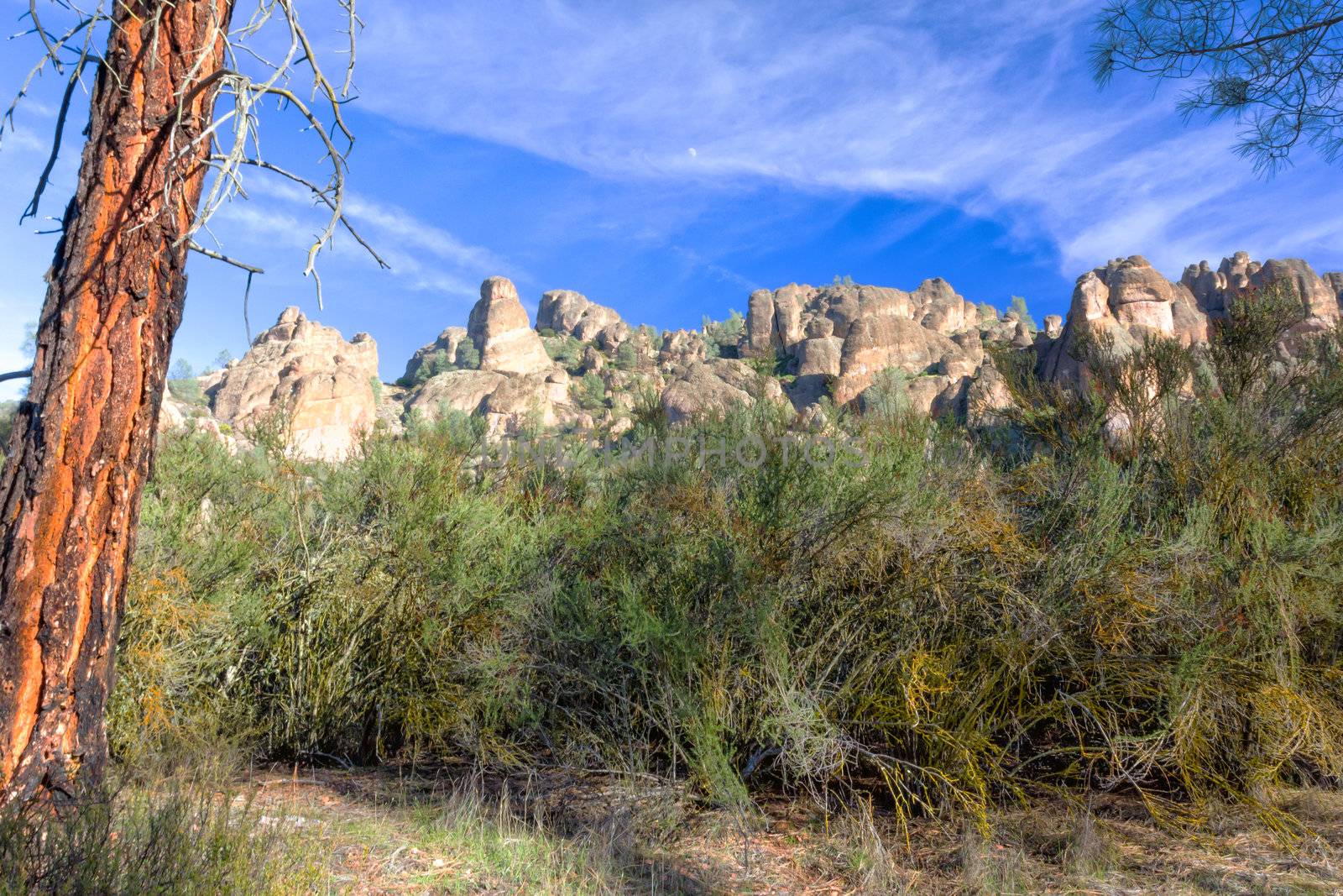 Pinnacles National Monument in California, USA.