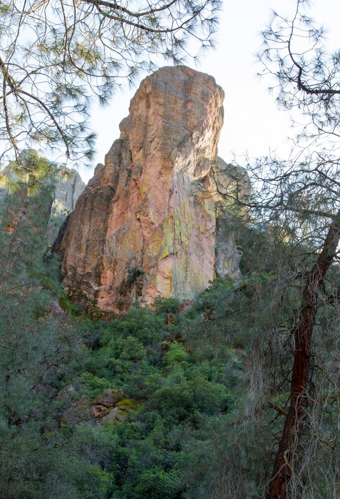 Pinnacles National Monument in California, USA.