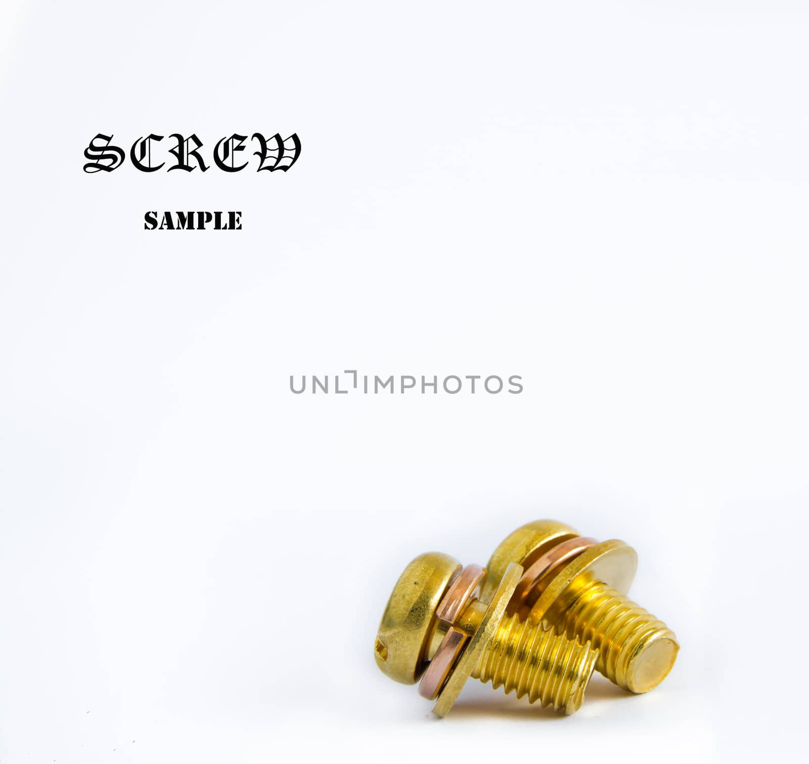 macro of one brass screw by wasan_gredpree