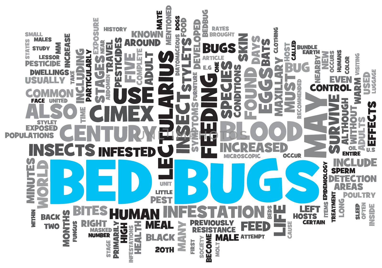 Bed Bugs Concept Design Word Cloud on White Background