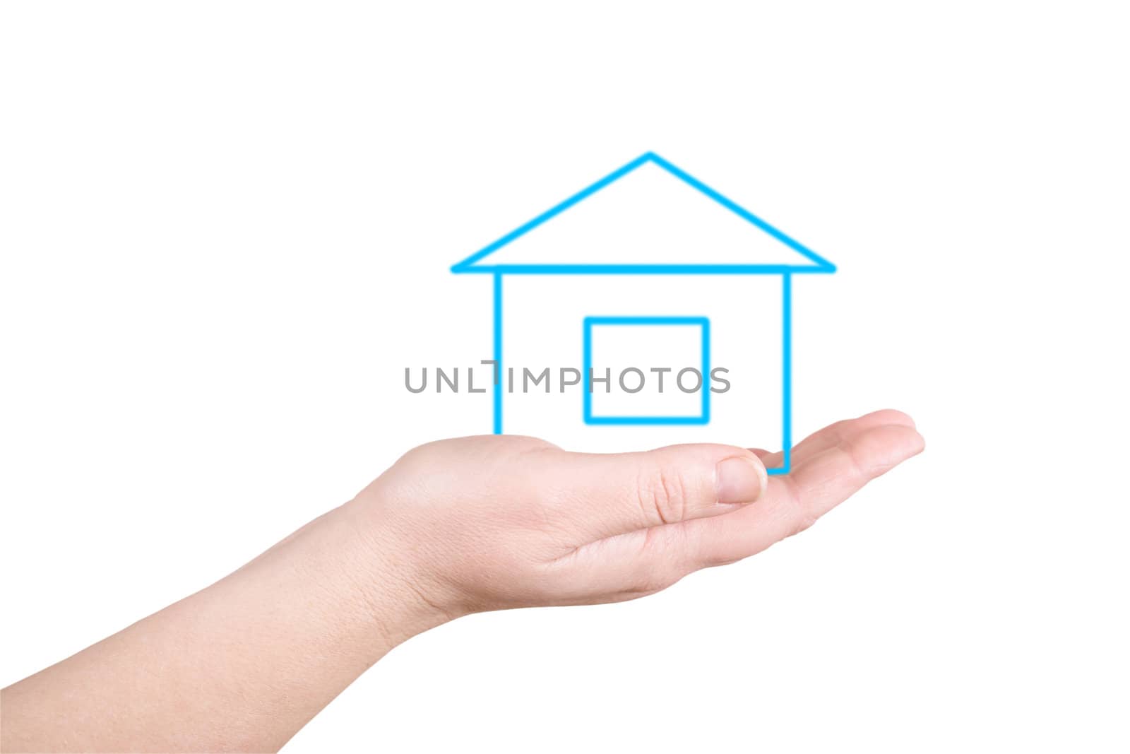 The house on a palm on a white background