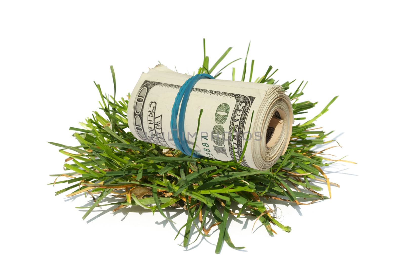 The US dollars lay on a green grass