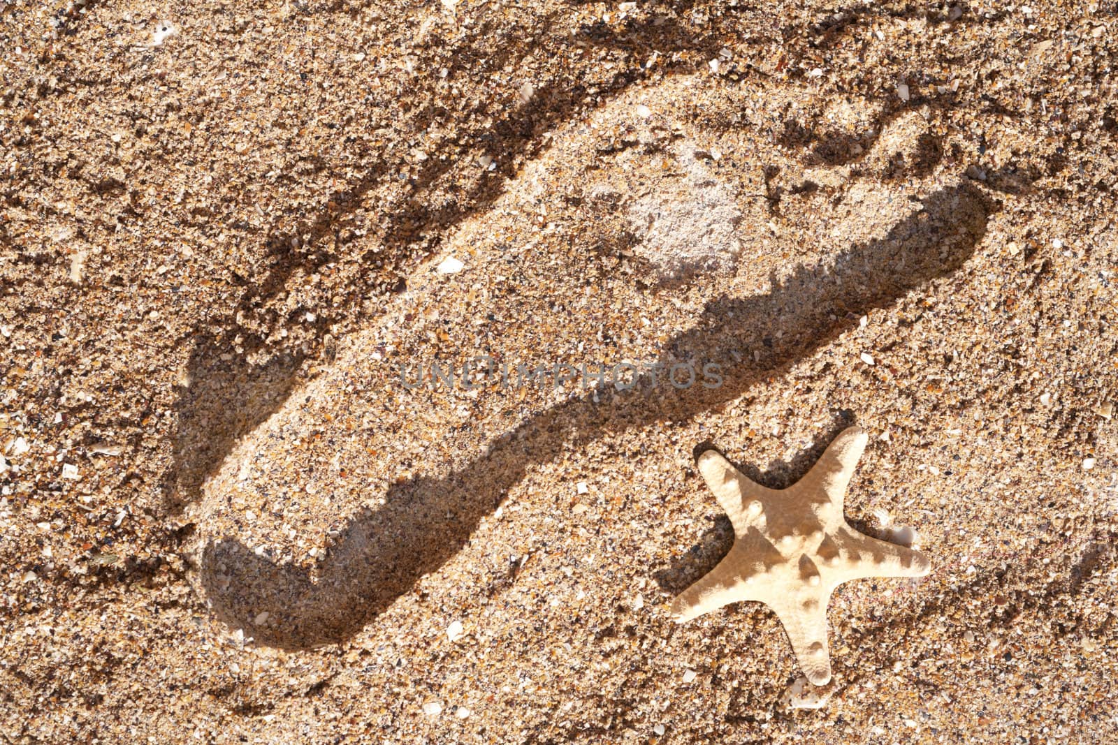Human trace and starfish on sea sand. Beach