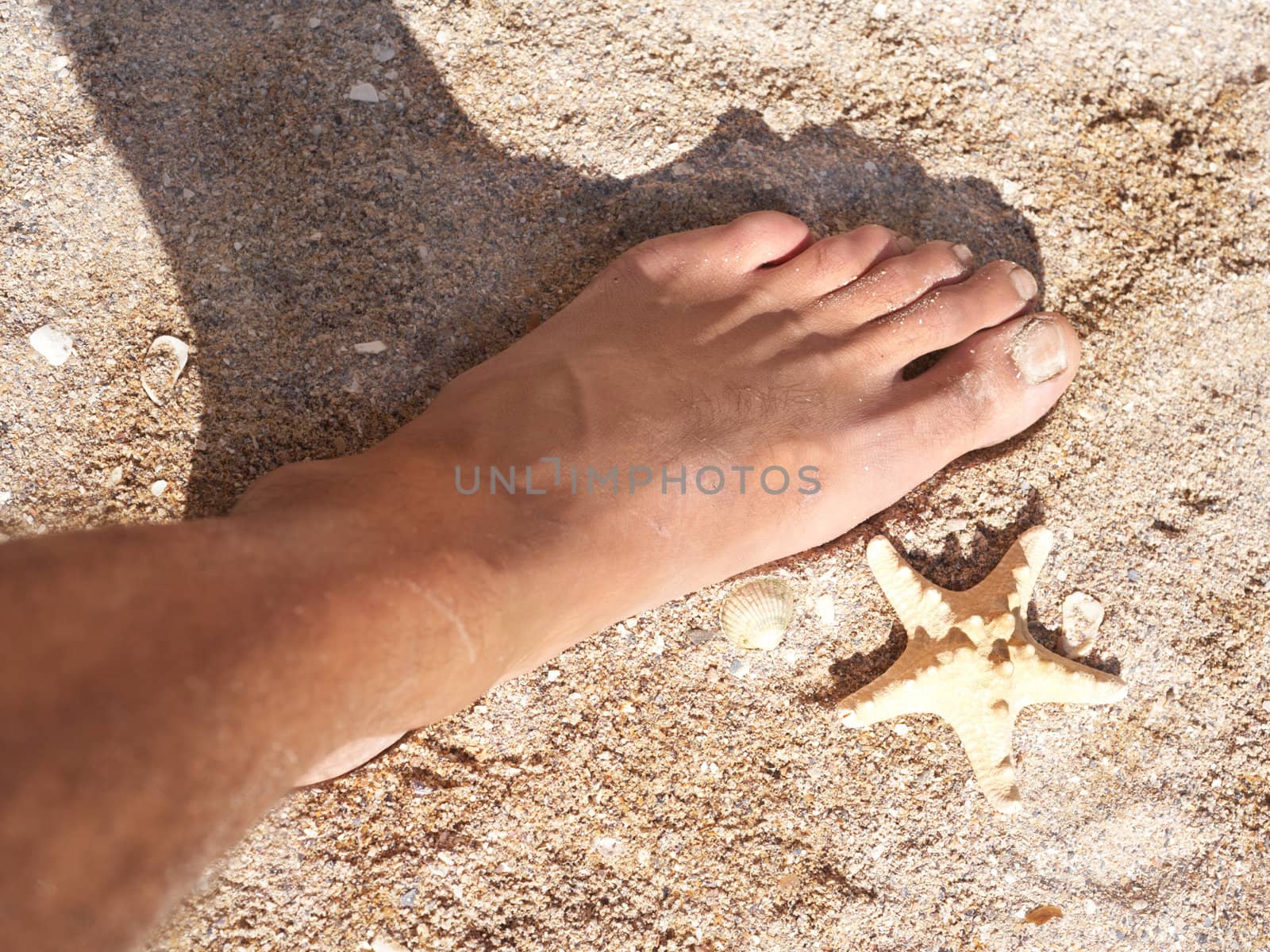 Sea star and the human foot on sea sand
