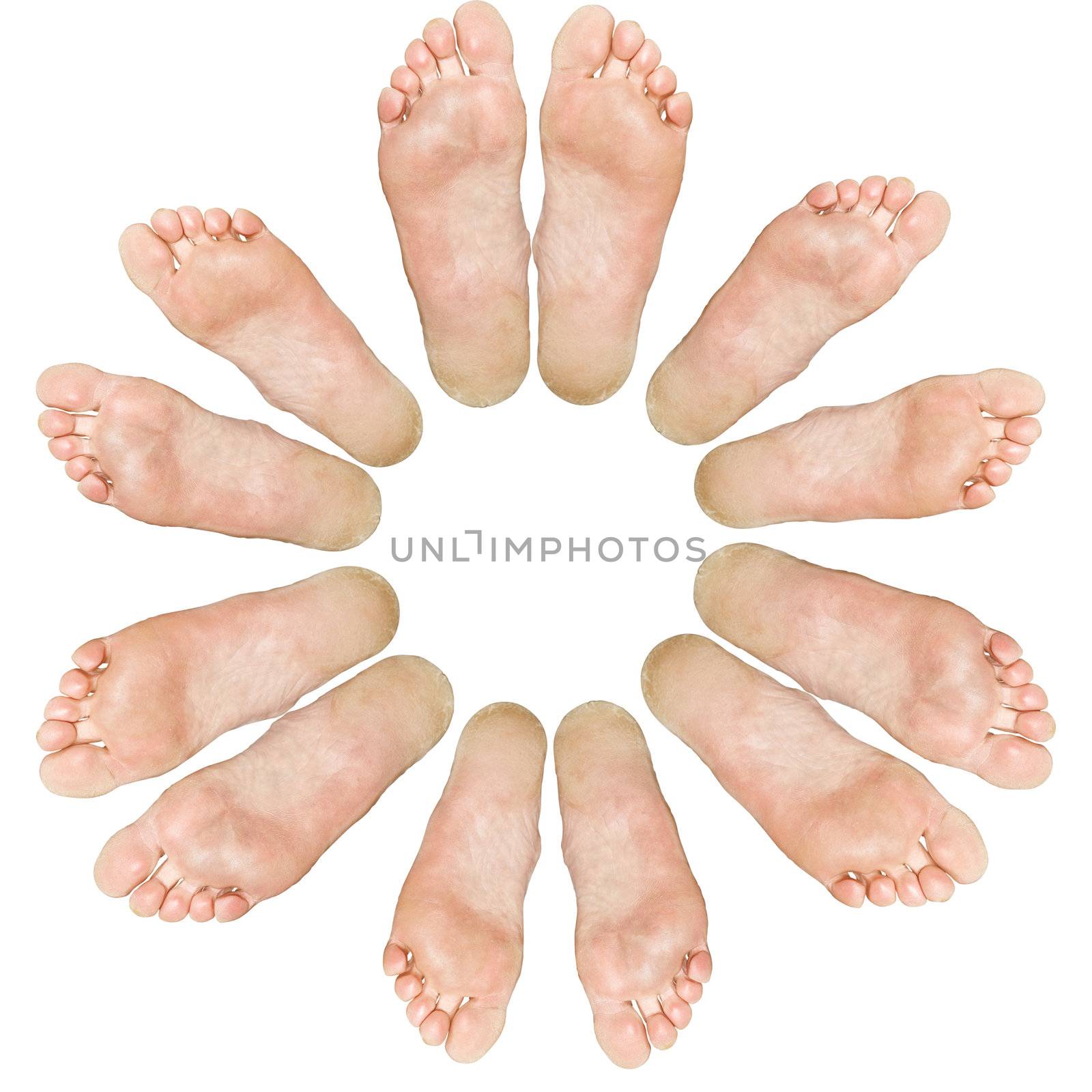 The large and small feet. Circle. Isolated over white background