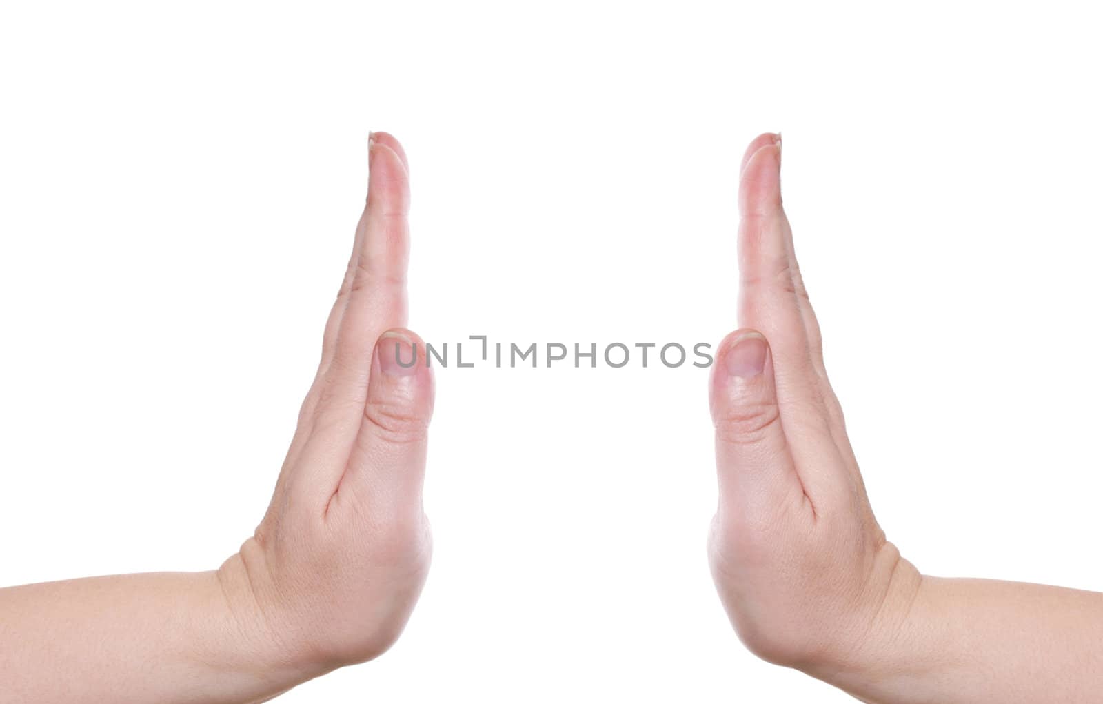 Two palms on a white background. Together