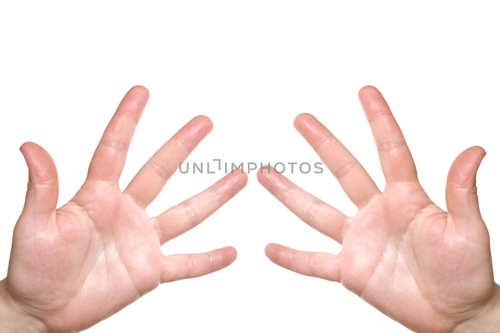 Two palms on a white background. The hands