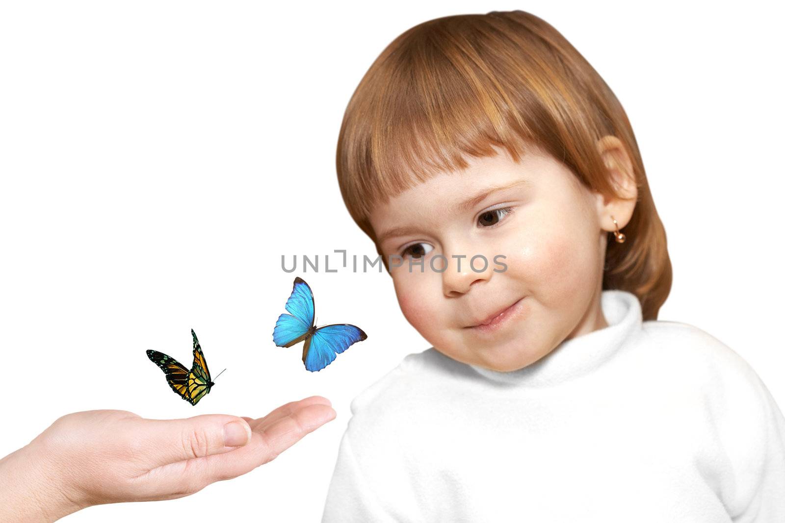 The small girl and multicoloured butterflies on a palm