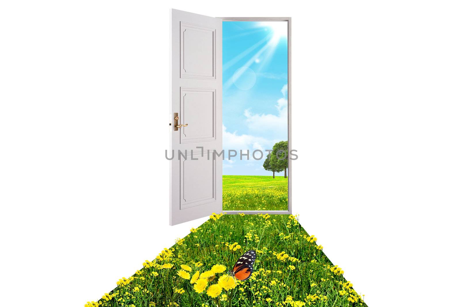 Opened white door and green grass. The abstract