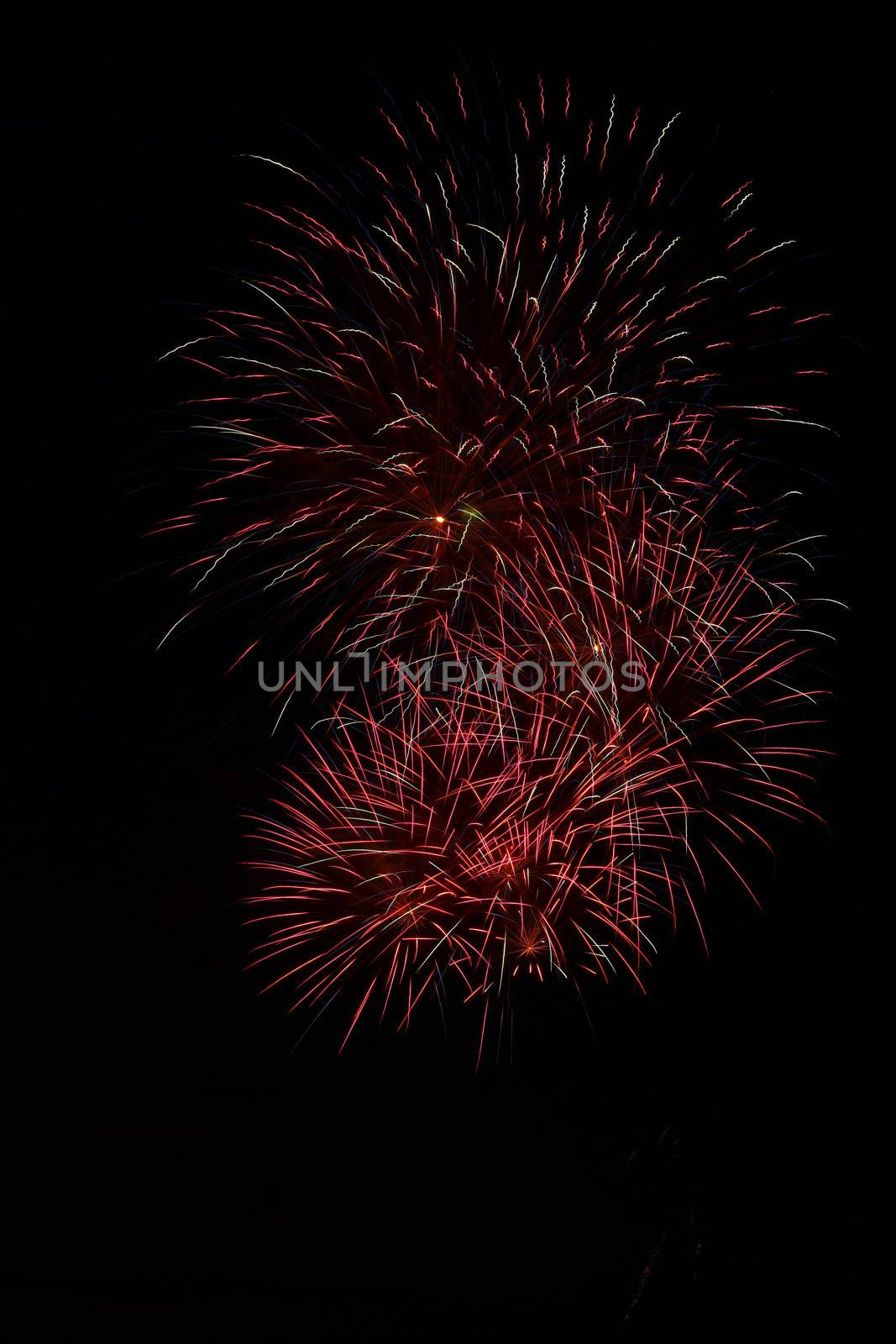 Colorful fireworks on the black sky background