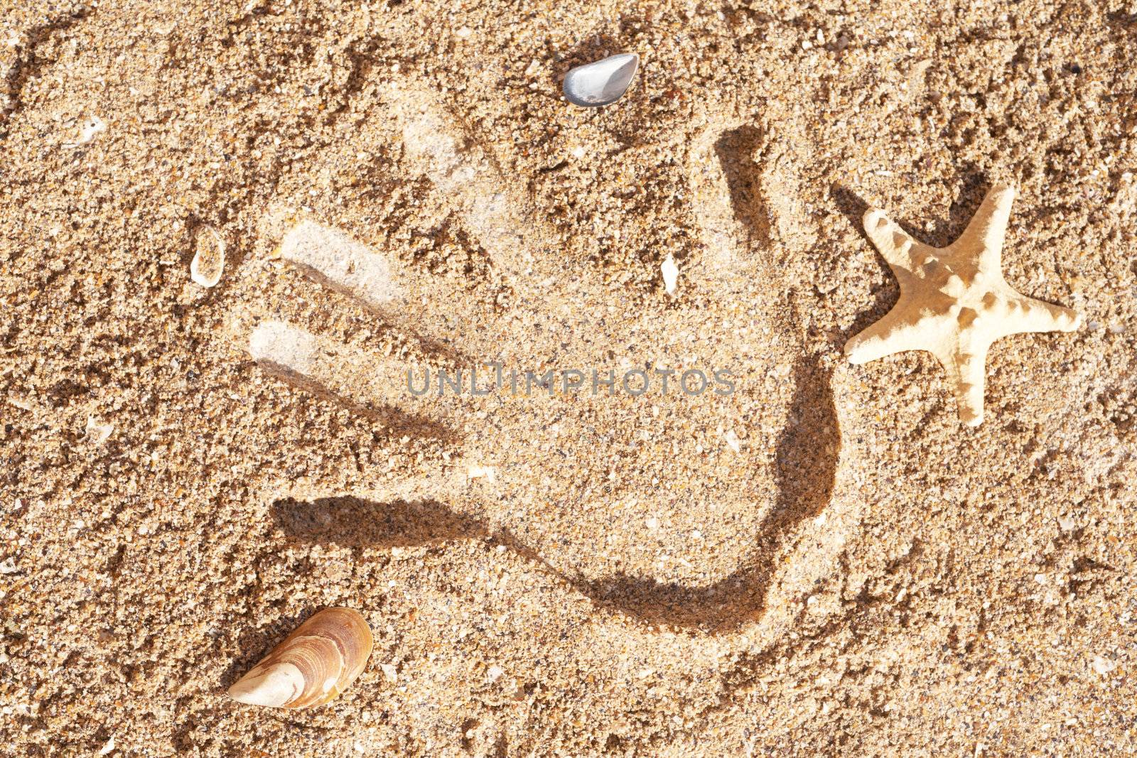 Trace of a palm and starfish on sea sand