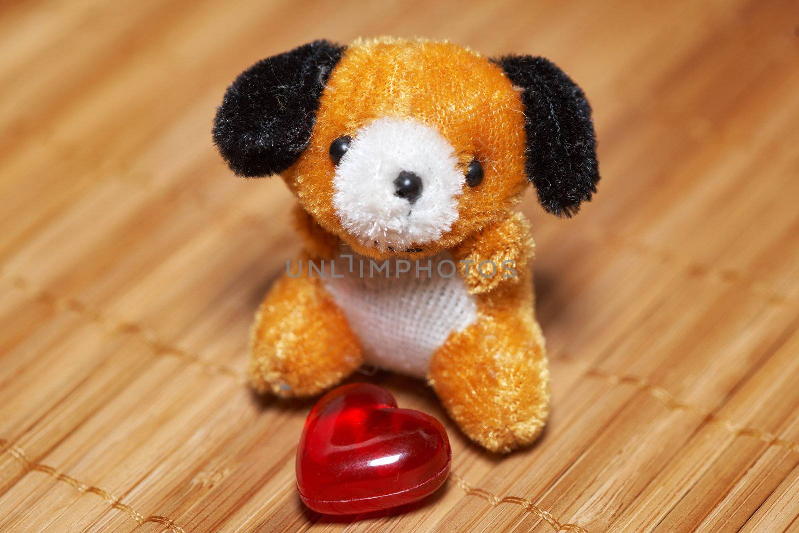 Puppy and heart by petrkurgan