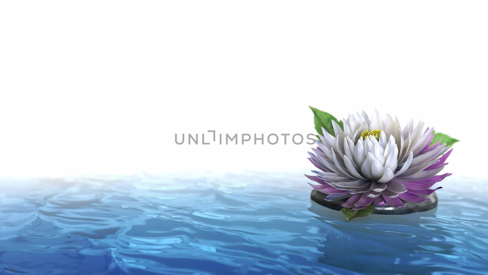decorative holiday background flower with stone on the water