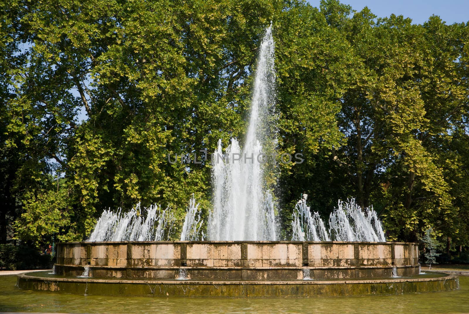 fountain by domenicosalice