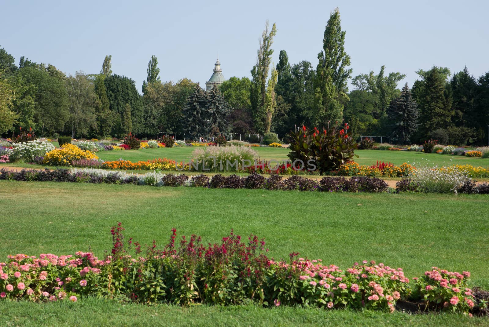 public park in Budapest, luxuriant nature in a sunny day
