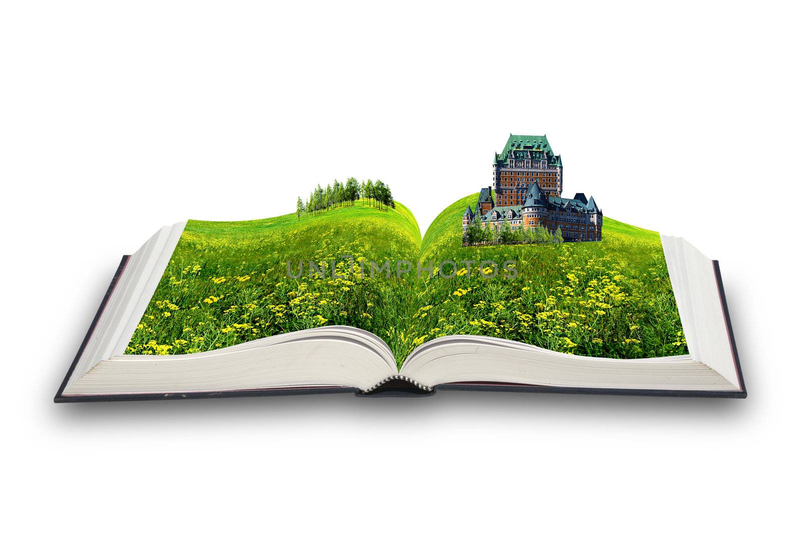 The open magic book. The castle in the book