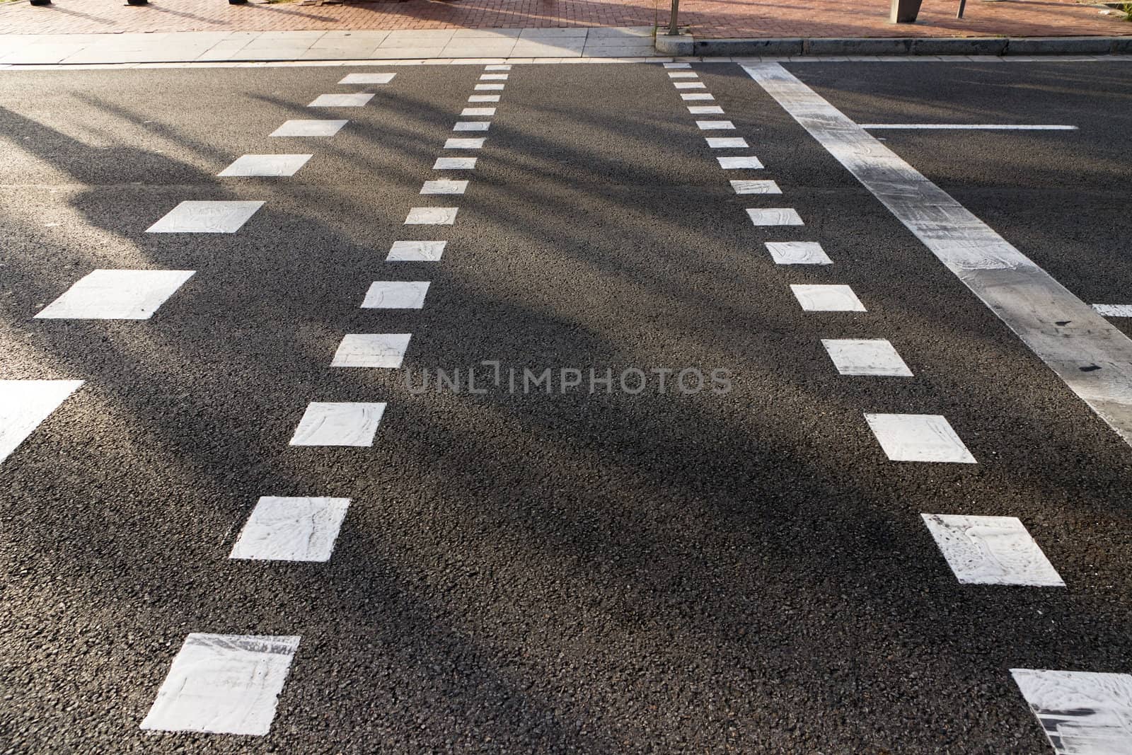 empty sidewalk and road asphalt with white pedestrian line