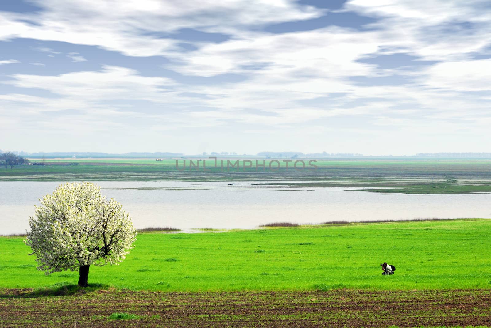 Photographer photographed tree springtime scene