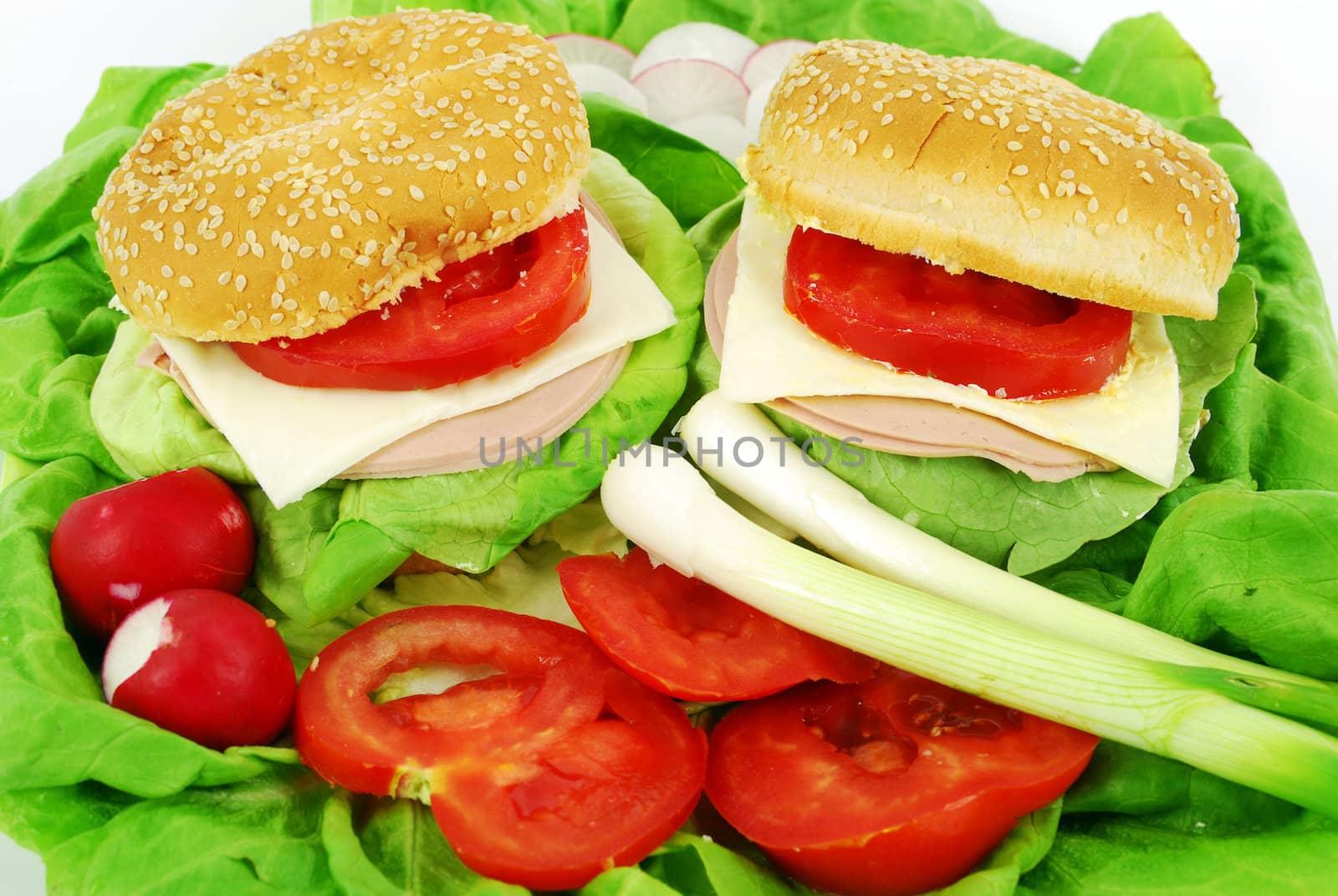 Sandwiches with fresh salad and vegetables