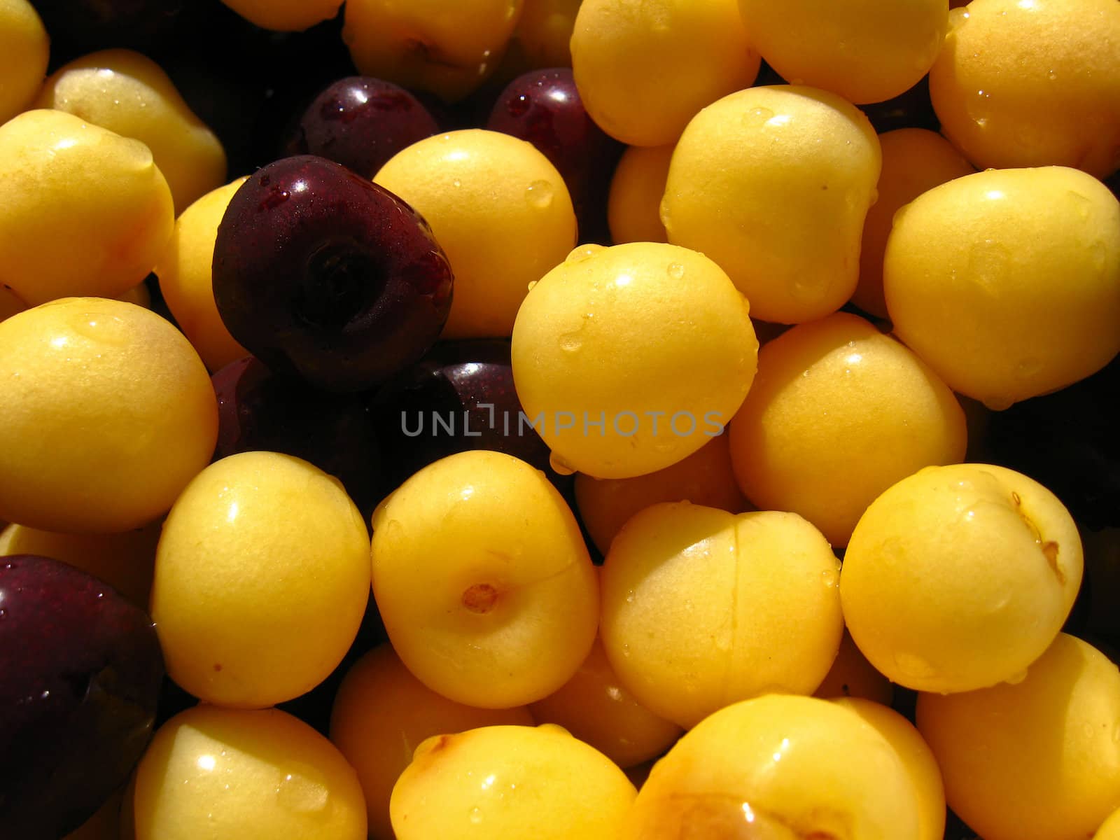 Yellow and red berries of a ripe sweet cherry