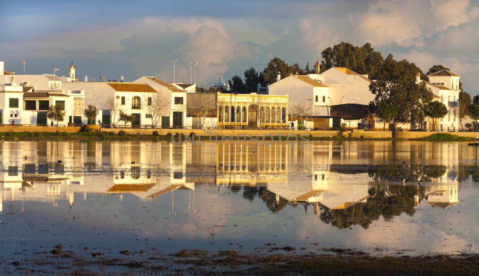 landscape of el rocio,seville
