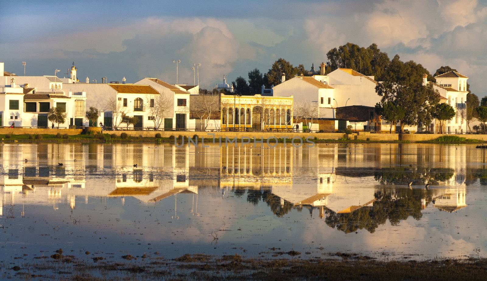 landscape of el rocio,seville