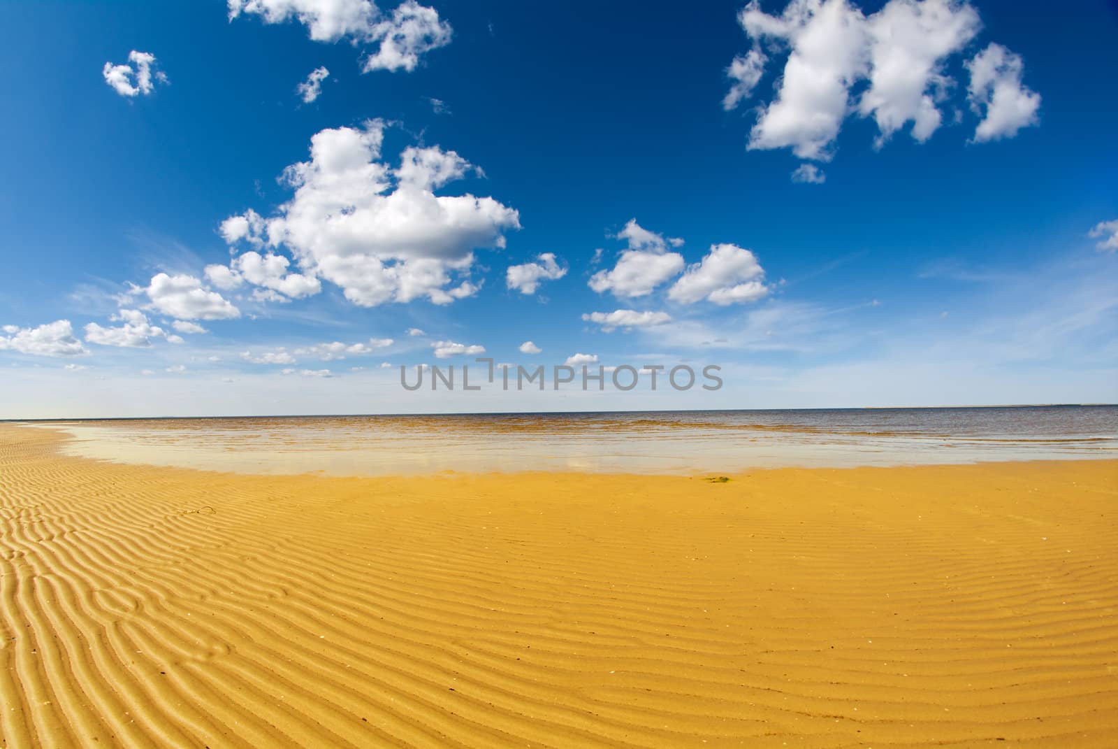 coast White Sea  with impressive sky