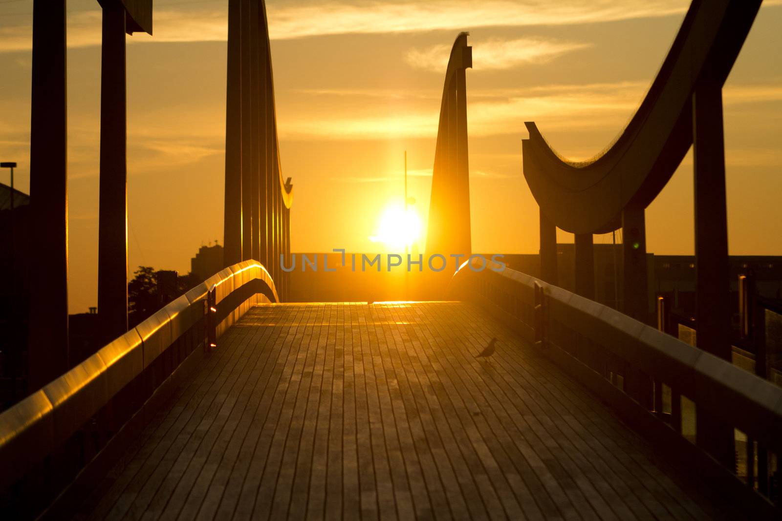 sunrise on the barcellona port