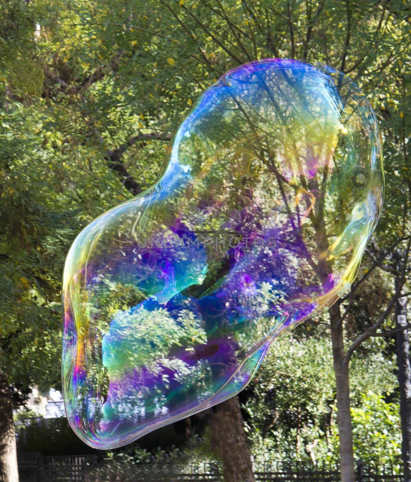 a big soap bubble in forest