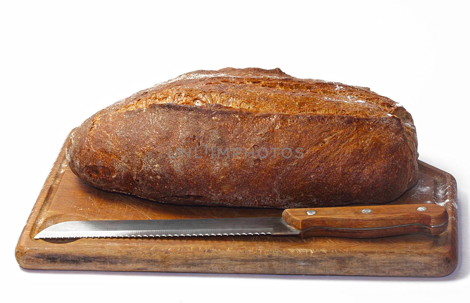 ancient bread