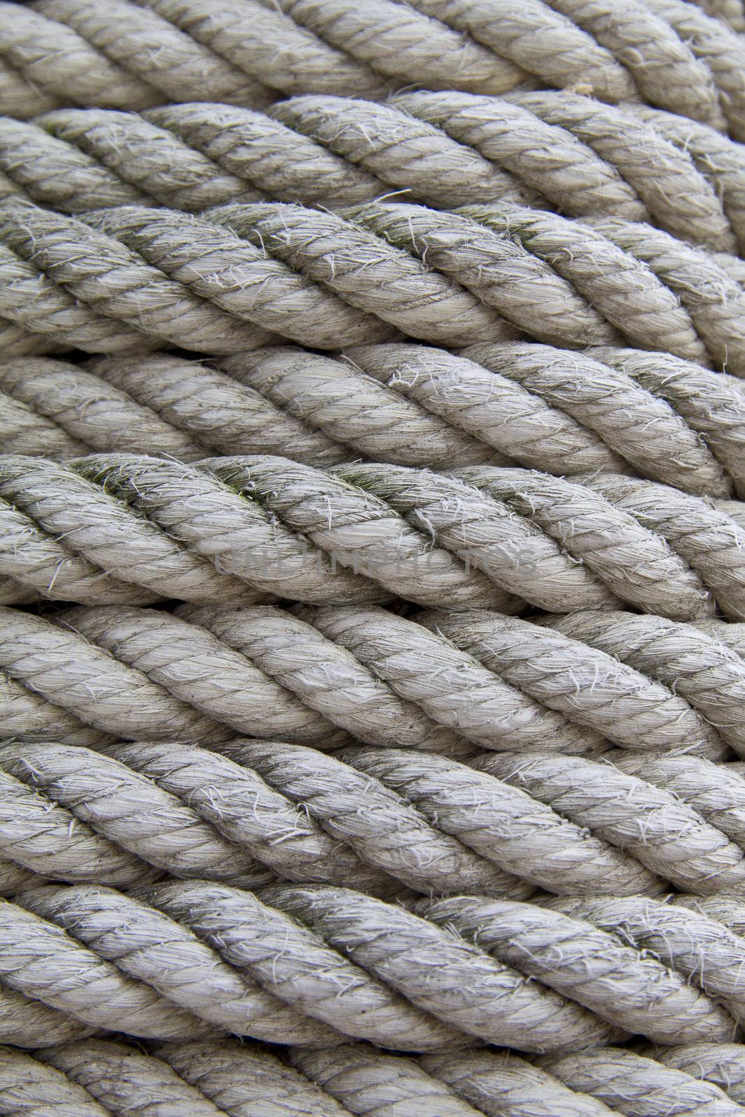 some strings of an old ship