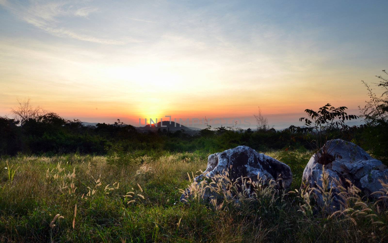 Sunrise in green rural field  by siraanamwong