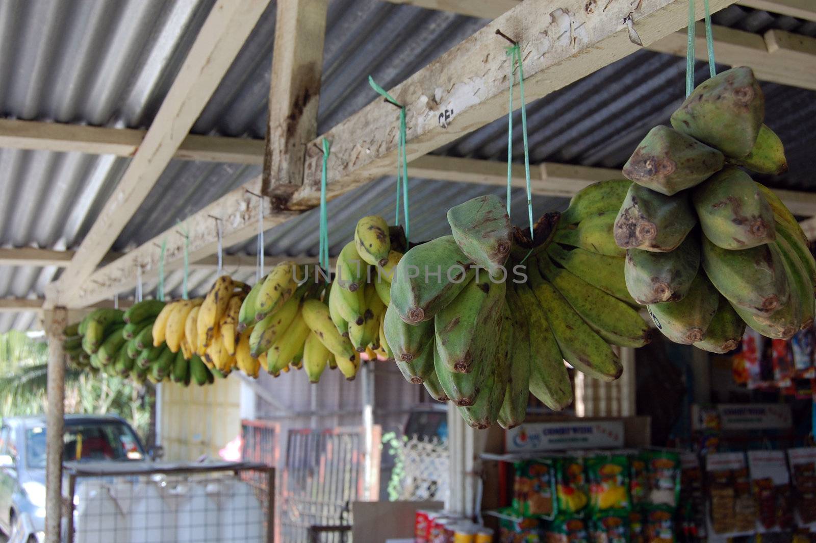 Green and yellow bananas on nails at market timber bar, Malaysia
