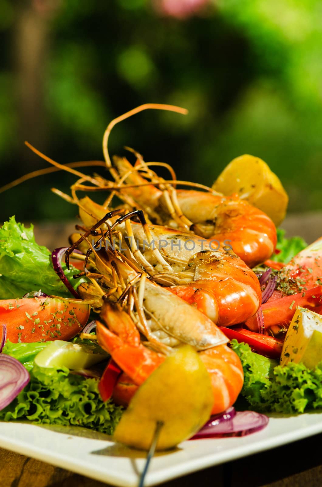 Fresh grilled shrimps on a plate with vegetable and a garden as background