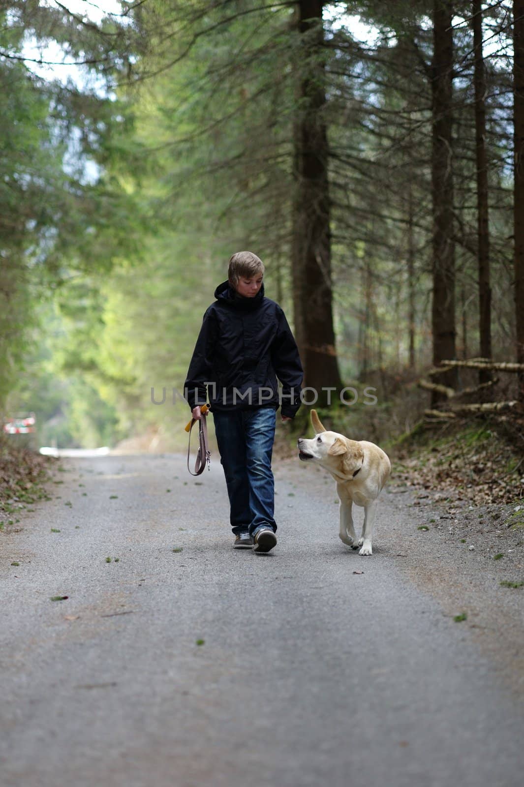 Young boy handling his dog on walking through the forest
