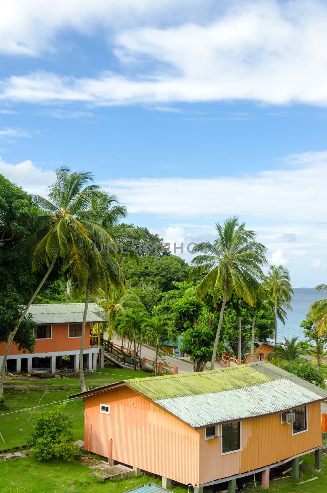 Bungalows surrounded by palm trees looking out on the Caribbean sea