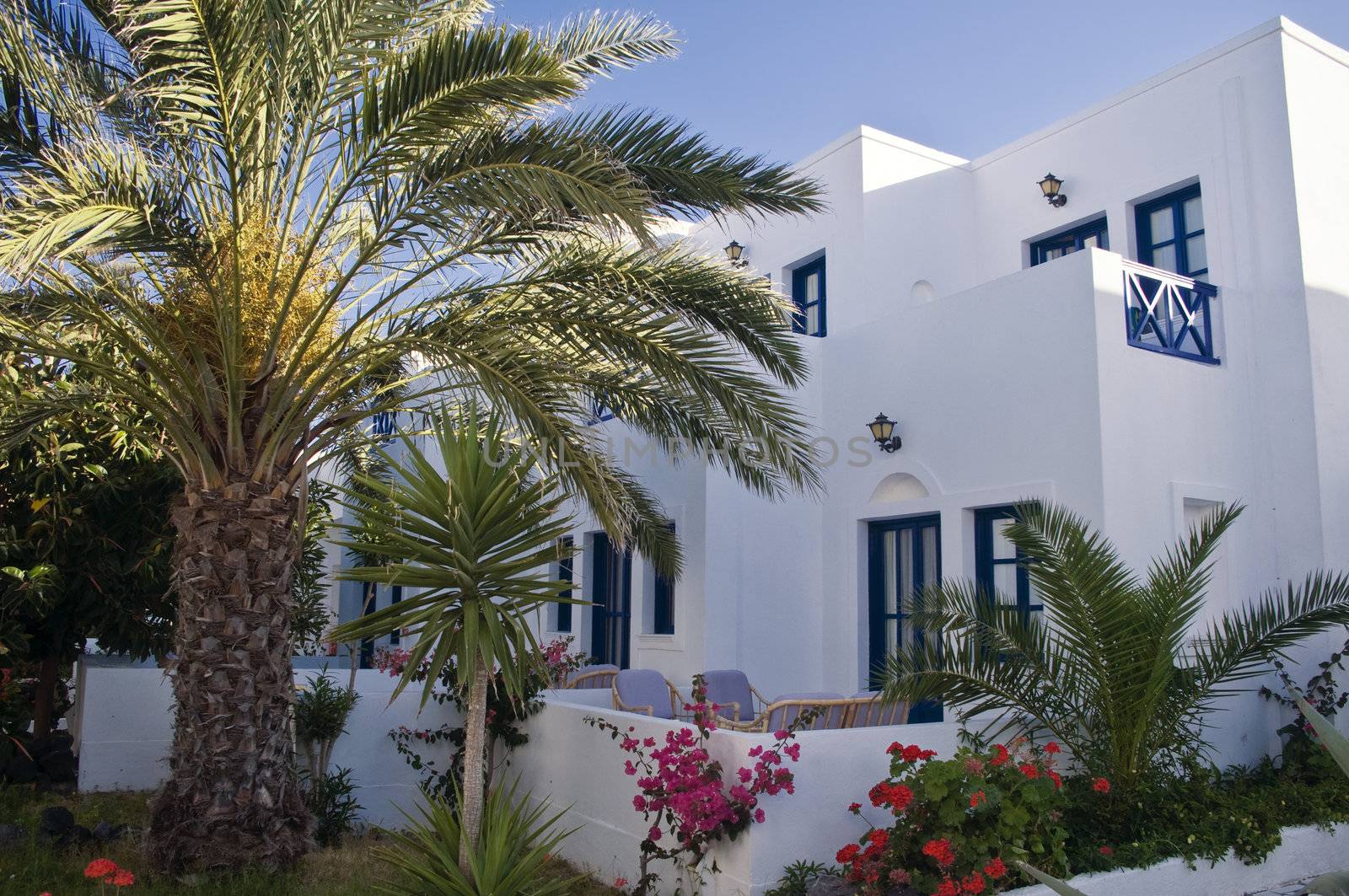 Greece House with Palm, taken in Naxos