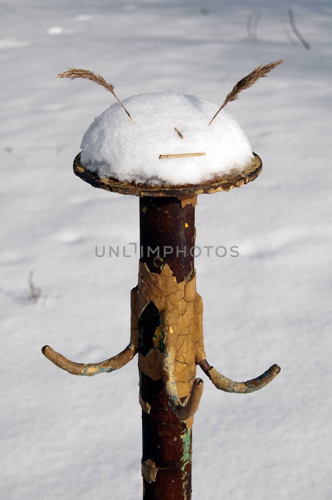 Funny abstract character of the snow and reeds on a metal stand